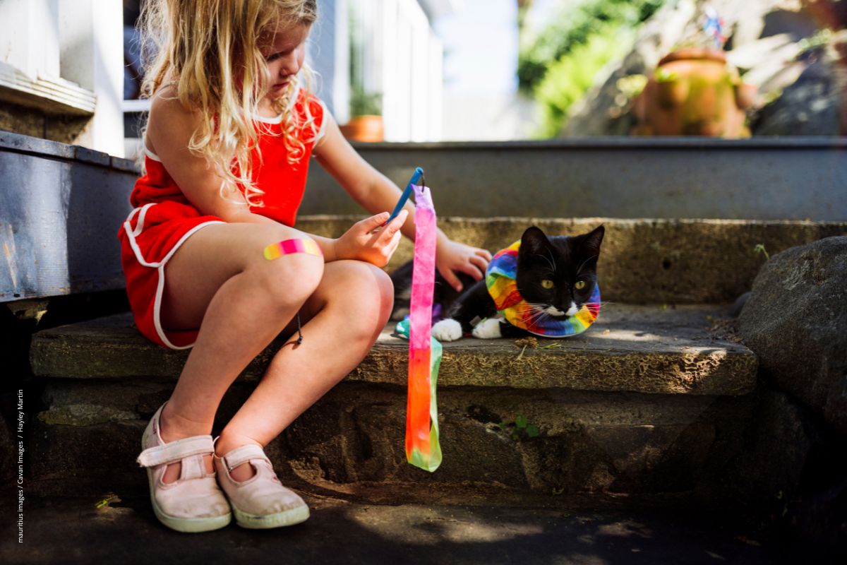 Beitragstitel: Viele Haushalte haben Katzen Beitragsbild: Viele Haushalte haben Katzen