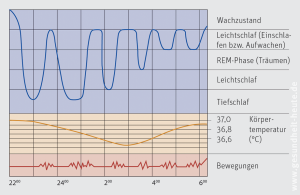 Die Schlafphasen